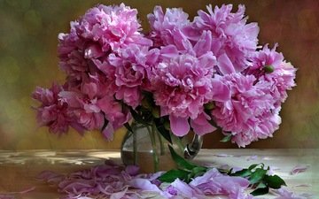 цветы, лепестки, букет, розовые, пионы