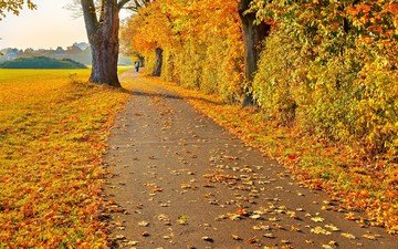 дорога, деревья, листья, пейзаж, осень, человек, желтые