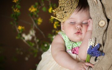 цветы, сон, девочка, ребенок, младенец, корона