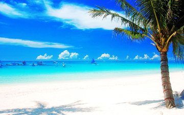 море, пляж, лодки, тропики, palms