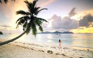девушка, море, пляж, пальма, отдых, тропики