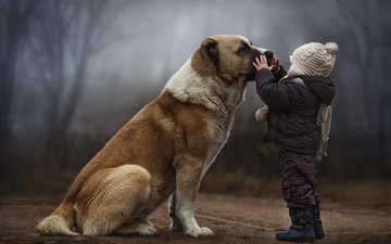 собака, ребенок, дружба
