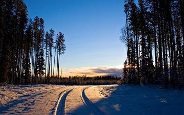 дорога в зимнем лесу на закате