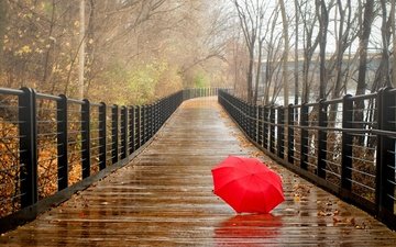 деревья, река, природа, листья, парк, мост, осень, дождь, прогулка, зонтик, зонтик на мокром мосту