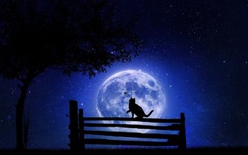 кот на фоне луны