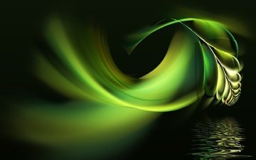 вода, абстракция, фон, черный, перо, зеленое 3d