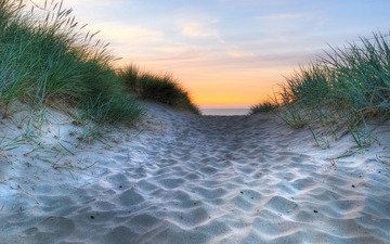 трава, природа, берег, песок, пляж, побережье