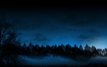 туман в ночном лесу