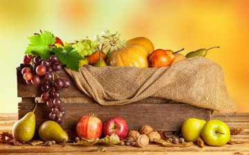 орехи, виноград, фрукты, яблоки, осень, урожай, овощи, тыквы, груши, ящик, мешковина