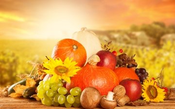 виноград, фрукты, яблоки, осень, грибы, урожай, овощи, тыквы