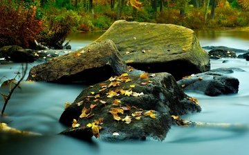 река, природа, листья, осень, сша, камны, нью-гэмпшир, новая англия