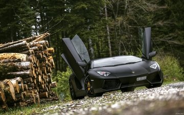 стильный автомобиль lamborgini черного матово, стоит возле наколотых дров, на грунтовой дороге, в зеленом лесу.