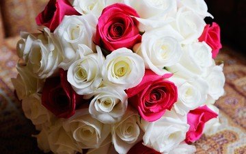 цветы, розы, букет, розовые, белые, вам девушки
