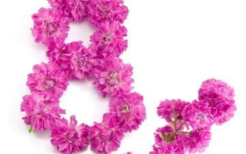 цветы, 8 марта, международный женский день