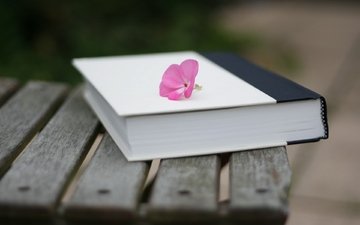 настроение, цветок, скамейка, книга, поверхность