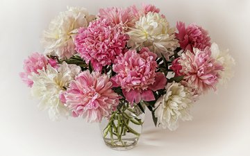цветы, букет, ваза, пионы