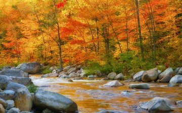 деревья, река, камни, листья, осень, поток