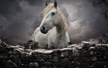 небо, лошадь, забор, белый, каменный, конь, грива