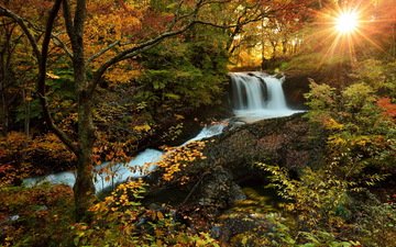 солнце, лес, водопад, осень, природа.