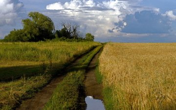 небо, дорога, деревья, пейзаж, поле