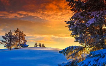 небо, деревья, снег, природа, зима, пейзаж, закат солнца, камень, сумерки, норвегия
