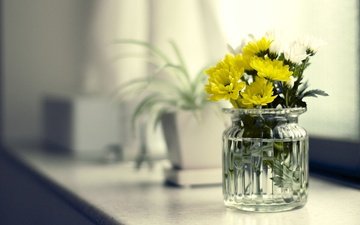 цветы, букет, окно, желтые, банка, подоконник
