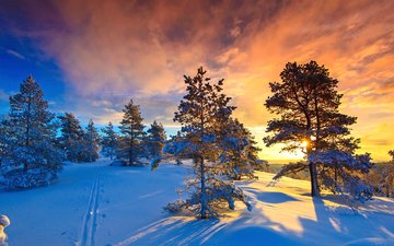небо, облака, деревья, солнце, природа, лес, закат, зима, норвегия