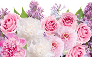 цветы, розы, сирень,  цветы, пионы, роз, lilacs