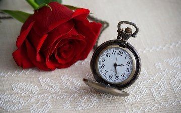 цветок, роза, часы, время, времени, циферблат, цветком, clock