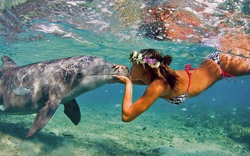 вода, девушка, море, поцелуй, дельфин
