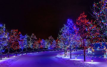 дорога, ночь, деревья, снег, парк, иллюминация, город