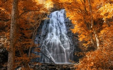 лес, водопад, осень, каскад