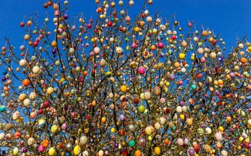небо, дерево, весна, пасха, яйца