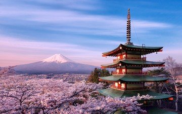 пагода, япония, сакура, вулкан фудзияма