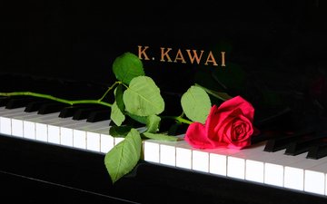 музыка, роза, пианино, рояль