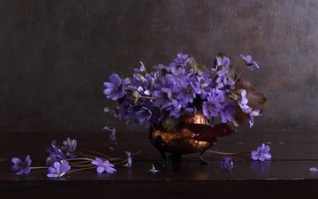 цветы, букет, ваза, синие, натюрморт, анемона, ветреница, natalie panga