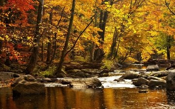 деревья, вода, река, горы, природа, камни, лес, осень