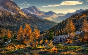деревья, горы, природа, лес, пейзаж, осень