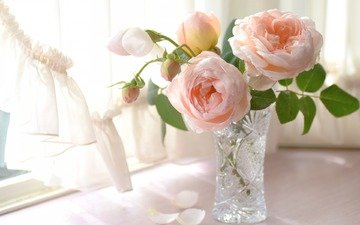 свет, цветы, розы, лепестки, букет, окно, нежность, ваза