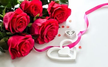 цветы, розы, лепестки, любовь, день святого валентина