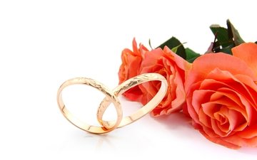 цветы, розы, кольца, свадьба,  цветы, свадебные кольца, роз, обручальные
