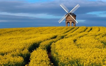 небо, цветы, поле, великобритания, весна, ветряная мельница, графство, рапс, уорикшир, памятник архитектуры, chesterton windmill, апрель
