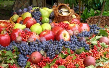 виноград, фрукты, яблоки, ягоды, урожай, груши, сливы, калина