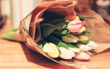 цветы, букет, тюльпаны