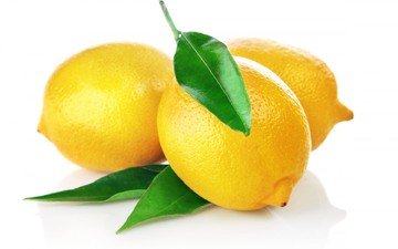 фрукты, зеленые, белый фон, листики, лимоны, цитрусы