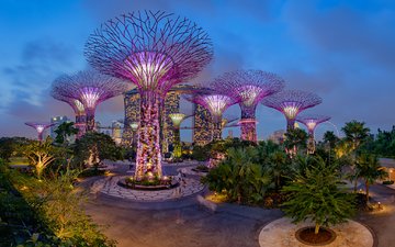 ночь, деревья, огни, дизайн, парк, сад, пальмы, сингапур, gardens by the bay