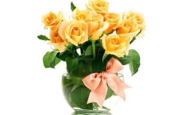цветы, розы, лепестки, оранжевый, букет, белый фон, ваза, желтые, бант