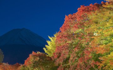 небо, свет, ночь, деревья, листья, гора, осень, япония, фудзияма