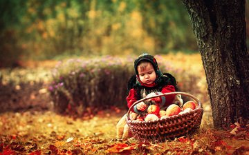 природа, яблоки, дети, девочка, ребенок, корзинка, платок, осенние листья