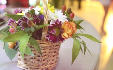 цветы, букет, хризантемы, корзинка, композиция, гвоздики
